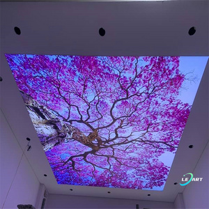 Hot Stamping Drop PVC Ceiling Panels Modern Graphic flower printed false pop ceiling Design board