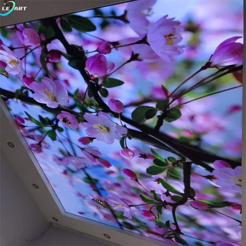 Irregular shape Artistic Decorative PVC Ceilings Material  UV Print Stretch Ceiling 3D Effect soft membrane for africa market