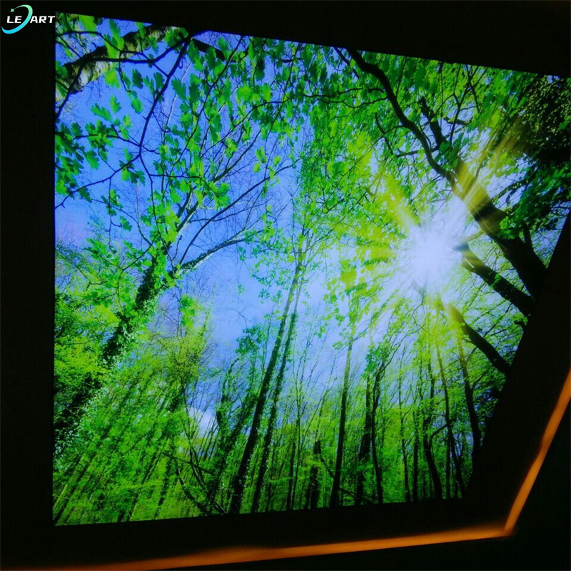 Hotel Special Effect Ceiling Tiles Nature Landscape Wall Painting Custom 3d Photo Pvc Stretch Ceiling