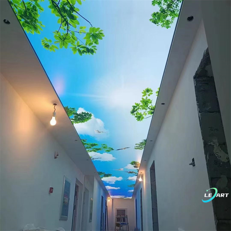 LeArt Ceiling Decoration Transparent Foil Pvc 3d False Ceiling Cover for Luxury Lounge Lobby Decorative