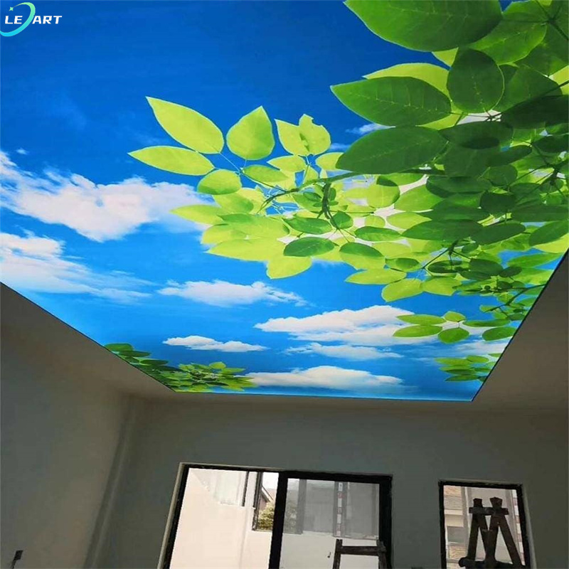 Ghana fireproof pop ceiling tile flower blue sky ceiling design for jewelry showroom