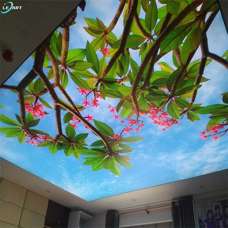 Moistureproof Plasterboard Art flowers ceiling wallpaper mural design 3d False stretch ceiling For Balcony