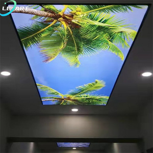 building construction Lightweight Pvc Uv Print Film 3d ceiling panel for Plafond Lights Suspended Ceiling tiles