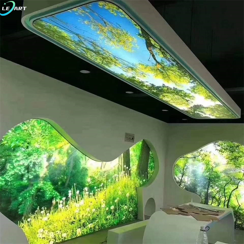 Hotel Special Effect Ceiling Tiles Nature Landscape Wall Painting Custom 3d Photo Pvc Stretch Ceiling