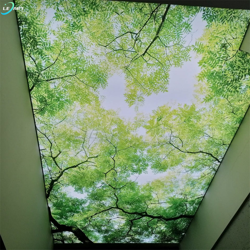 Hotel Special Effect Ceiling Tiles Nature Landscape Wall Painting Custom 3d Photo Pvc Stretch Ceiling