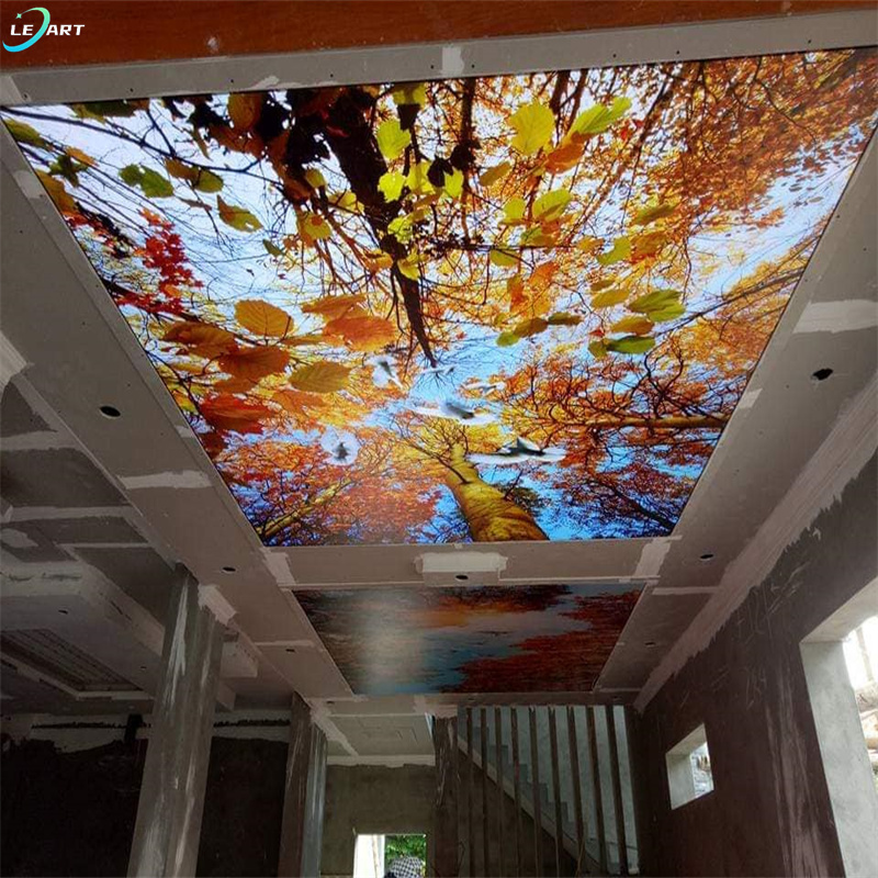 House decoration interior Pop pvc roofing 5d ceiling wall graphics designs price in Nigeria