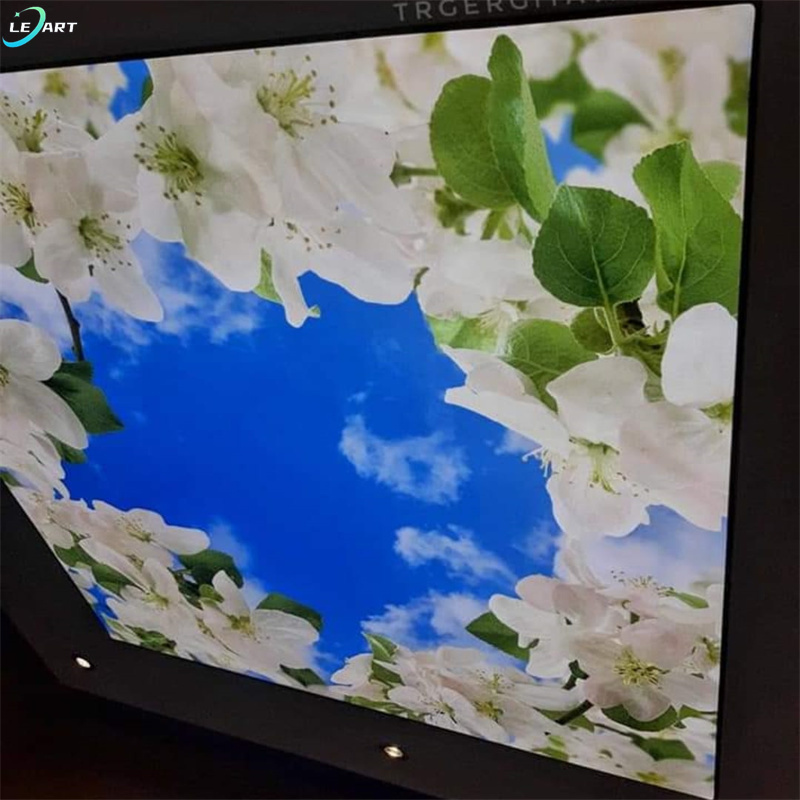 Moistureproof Plasterboard Art flowers ceiling wallpaper mural design 3d False stretch ceiling For Balcony