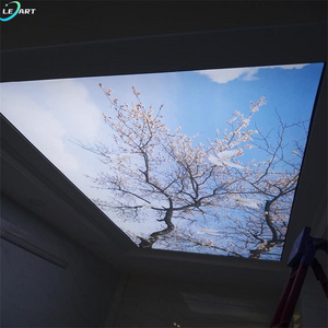 House decoration interior Pop pvc roofing 5d ceiling wall graphics designs price in Nigeria