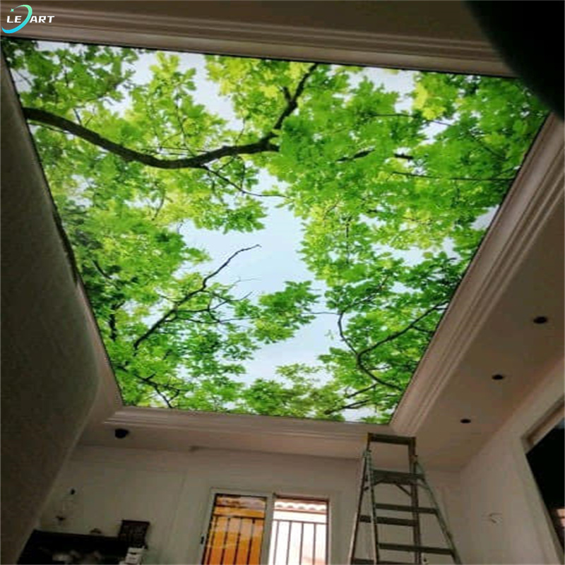 Hotel Special Effect Ceiling Tiles Nature Landscape Wall Painting Custom 3d Photo Pvc Stretch Ceiling