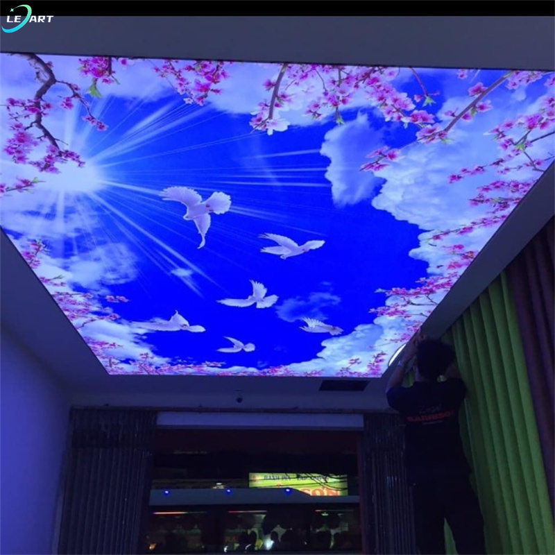 Irregular shape Artistic Decorative PVC Ceilings Material  UV Print Stretch Ceiling 3D Effect soft membrane for africa market