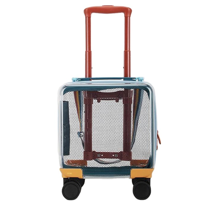 Fashion design children suitcase novelty suitcases  blue and transparent kid travel  suitcase luggage 14