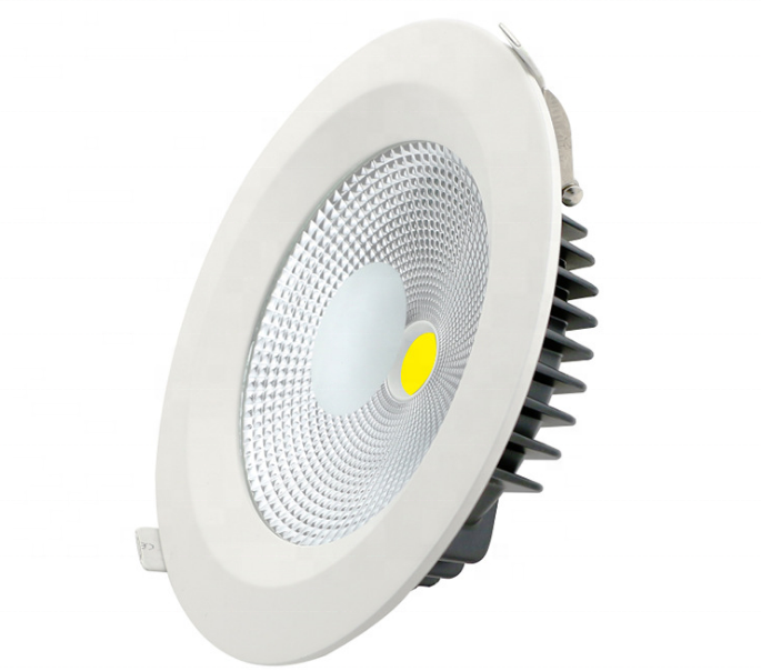 China factory manufacturer custom Led down light 12W 20W 30W 110-240V 3000k down lights round shape downlight Outdoor/Indoor