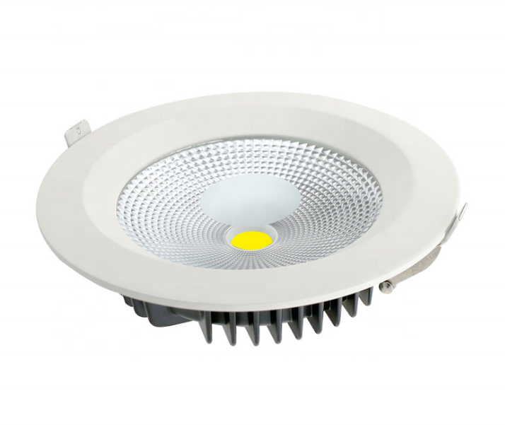 China factory manufacturer custom Led down light 12W 20W 30W 110-240V 3000k down lights round shape downlight Outdoor/Indoor