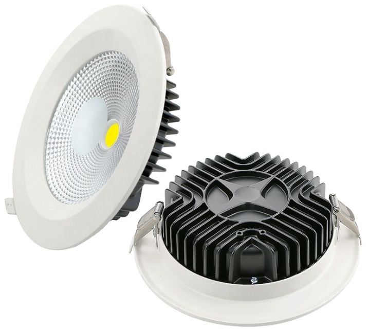 China factory manufacturer custom Led down light 12W 20W 30W 110-240V 3000k down lights round shape downlight Outdoor/Indoor