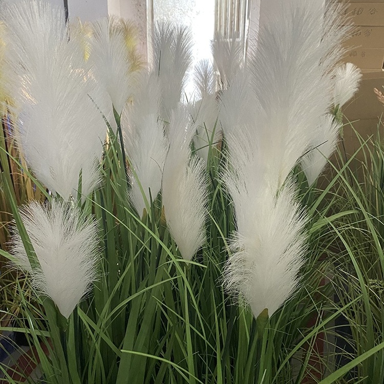 Direct Factory Price Pampass Grass Bouquet Home Decor Wedding Decoration Dried White Flower Arrangements Artificial Pampas Grass