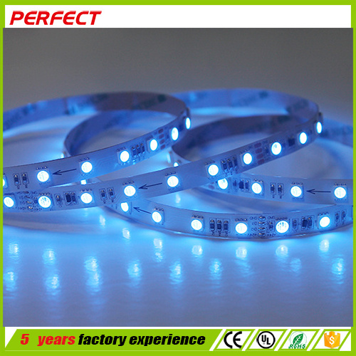 intertek led strip 24V 5050 digital RGB flexible led strip light with IC p943/ws2813