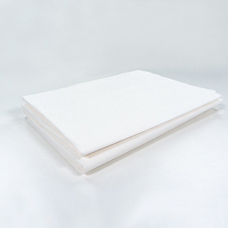 Waterproof Pillowcase Hospital Disposable Pillow Case for Medical Wholesale Pillow Slip Plastic Tissue Poly White Blue OEM