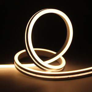 LEDHOME Neon NE1220 sideview IP67 outdoor decoration rgb led flexible strip DC24V warm white color flex strips light