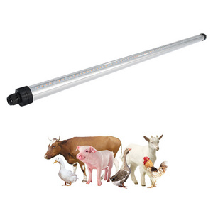 IP69K Waterproof 65W/45W pig house Chicken Tube Light farm house LED poultry light