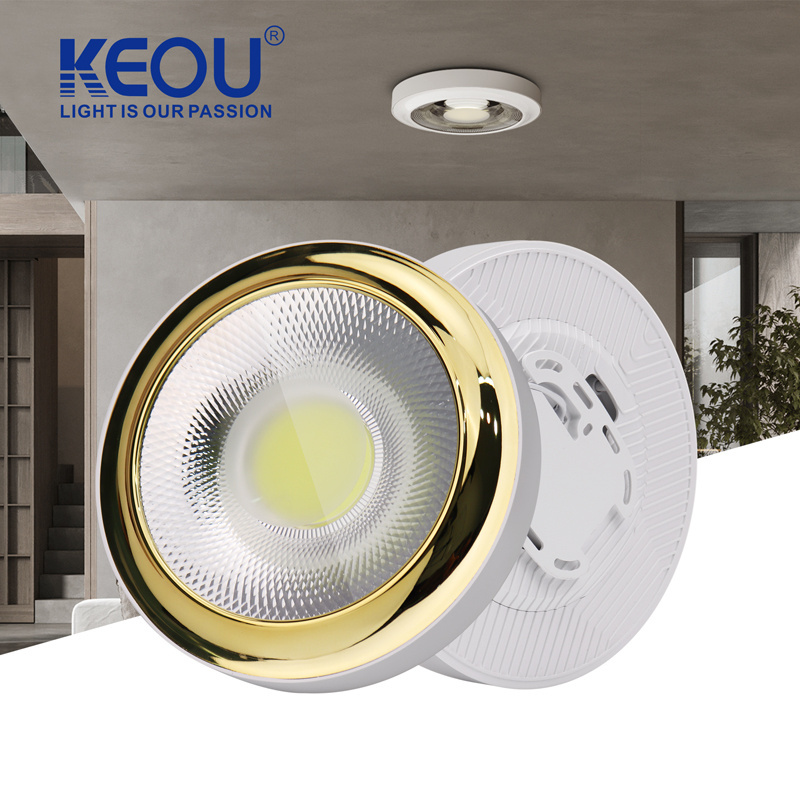 Modern Home Flush Mount Black Round Gold 100Lm/W 20W 30W Down Lights Led Ceiling Light