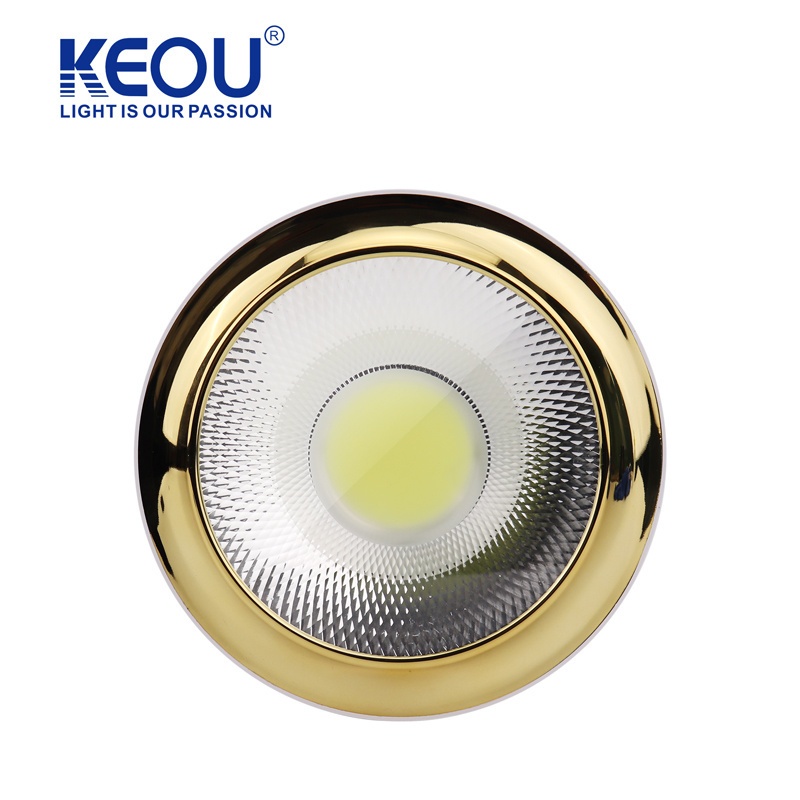 Modern Home Flush Mount Black Round Gold 100Lm/W 20W 30W Down Lights Led Ceiling Light