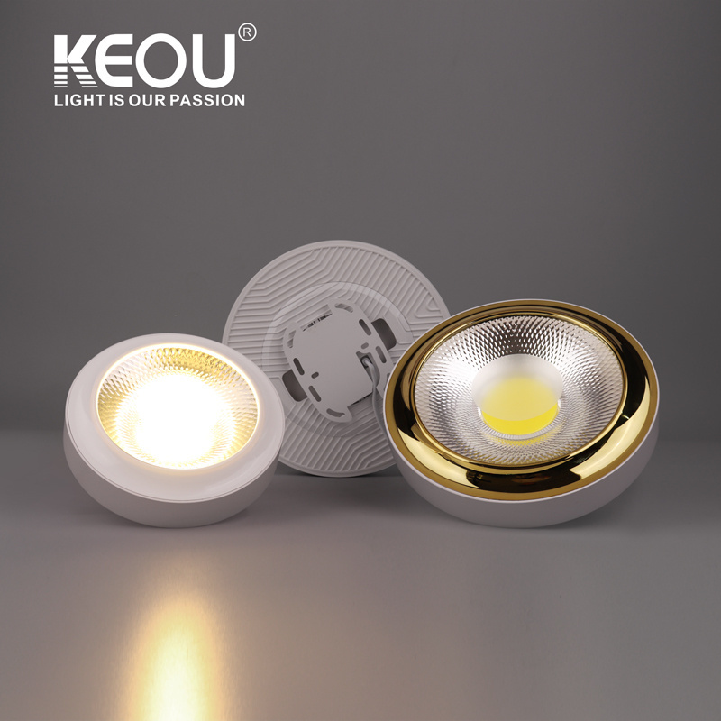 New Modern Design Cob New Product Flush Mount 20W 30W Down Lights Led Ceiling Light