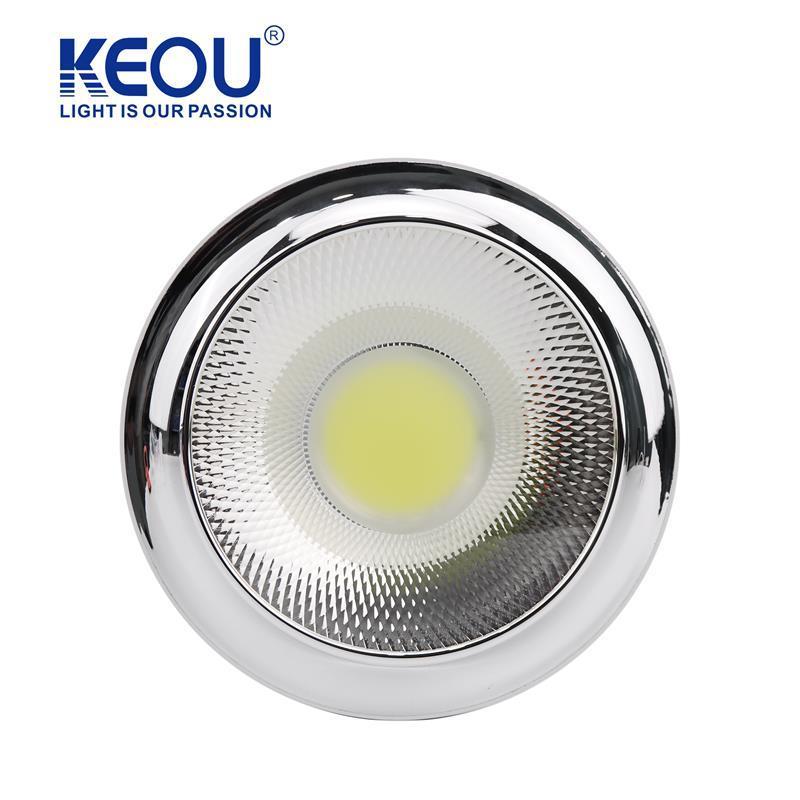 New Modern Design Cob New Product Flush Mount 20W 30W Down Lights Led Ceiling Light