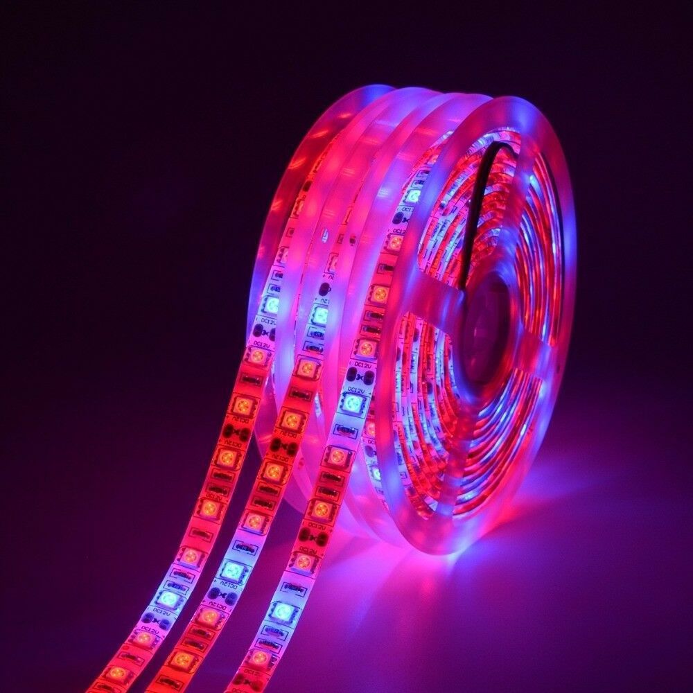 Indoor Hydroponic Greenhouse Full Spectrum Plant Grow Led Strip Light 12V SMD 5050 Led Strip Grow Lights for Indoor Plants