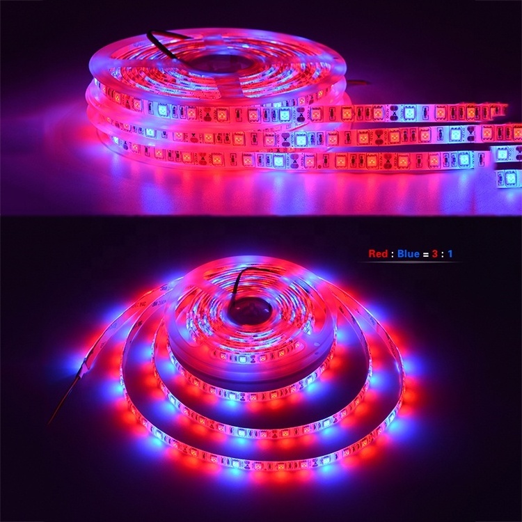 Indoor Hydroponic Greenhouse Full Spectrum Plant Grow Led Strip Light 12V SMD 5050 Led Strip Grow Lights for Indoor Plants