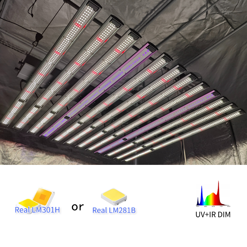 USA Thailand Vertical Farm 10 Bars Hanging Medical Plant Flowers High PPF PPFD 1000W LED Grow Light