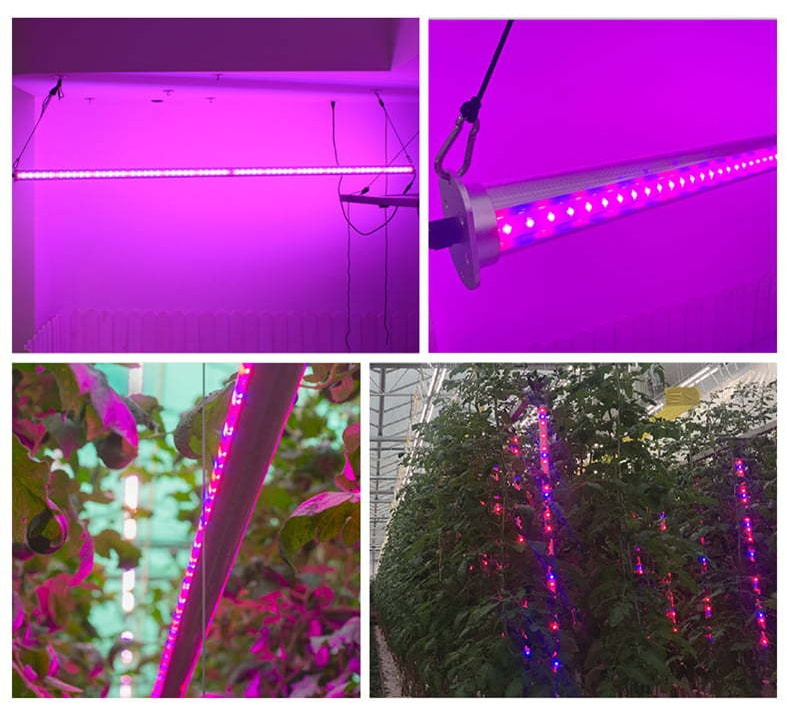 Greenhouse Inter canopy IP66 Inter lighting Tube 4ft Bar inter plant 50W supplemental led  Grow Light led inter light