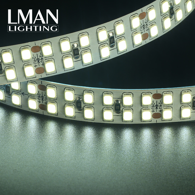 High Brightness Custom Double Line 360leds/m Dc24v 22w Smd2835 Outdoor Landscape Led Strip Light