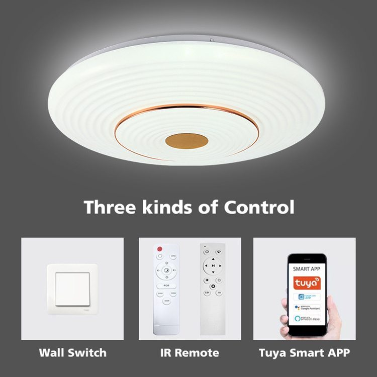 Wifi Voice App Control Ceiling Lights Bedroom Smart Home Light Stepless Dimming Modern LED PVC Iron Ce White Contemporary 80 70