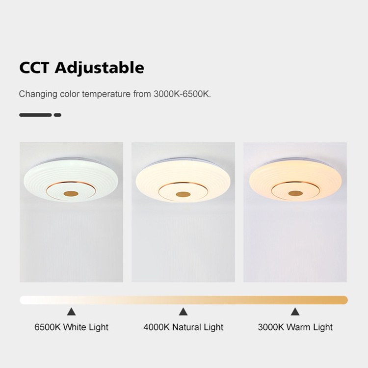 Wifi Voice App Control Ceiling Lights Bedroom Smart Home Light Stepless Dimming Modern LED PVC Iron Ce White Contemporary 80 70