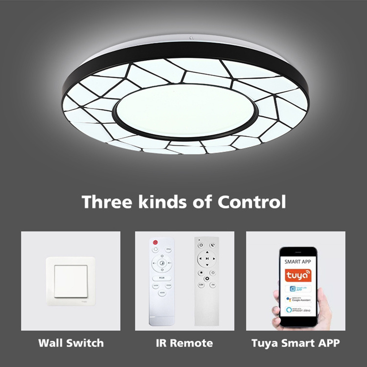 Tuya Smart Dimmable Rgb Modern Lamp App Remote Control Round Shape Flushmount Fancy Ceiling Light