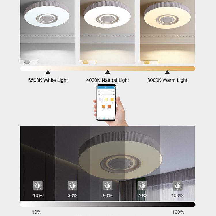 Dimmable LED Music Ceiling Light with Speakers RGB Color Changing Flush Mount Lamp with Remote Control