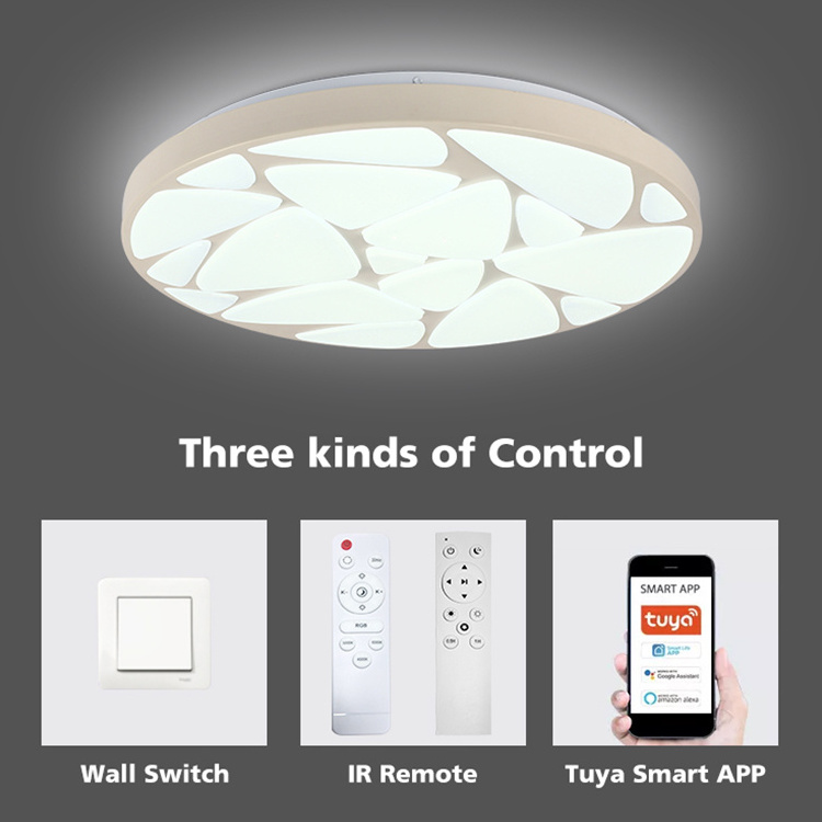 Newest Led Colorful Smart Light Mobile App Control Modern Living Room Bedroom Ceiling Light