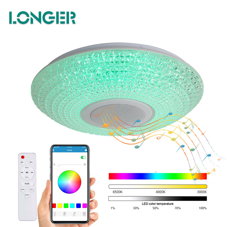 Wholesale Price Modern Style RGB Smart Ambient Light Round Led Ceiling Light For Living Room