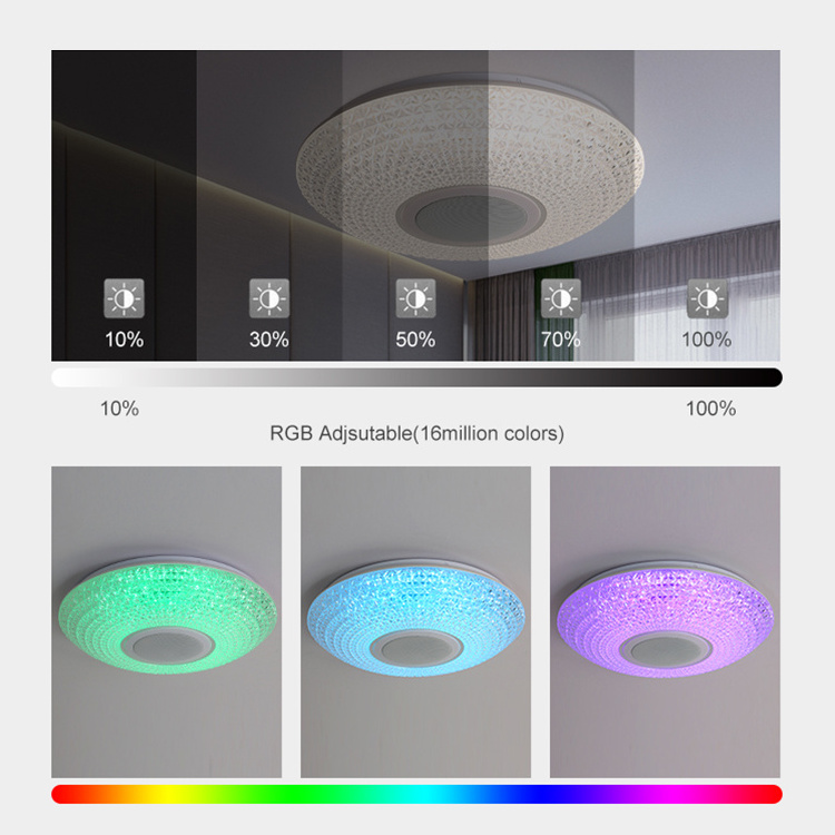 Wholesale Price Modern Style RGB Smart Ambient Light Round Led Ceiling Light For Living Room