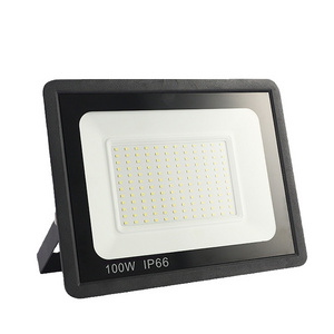 Die-cast Aluminum Economy 100W LED Flood Light  for Outdoor Using