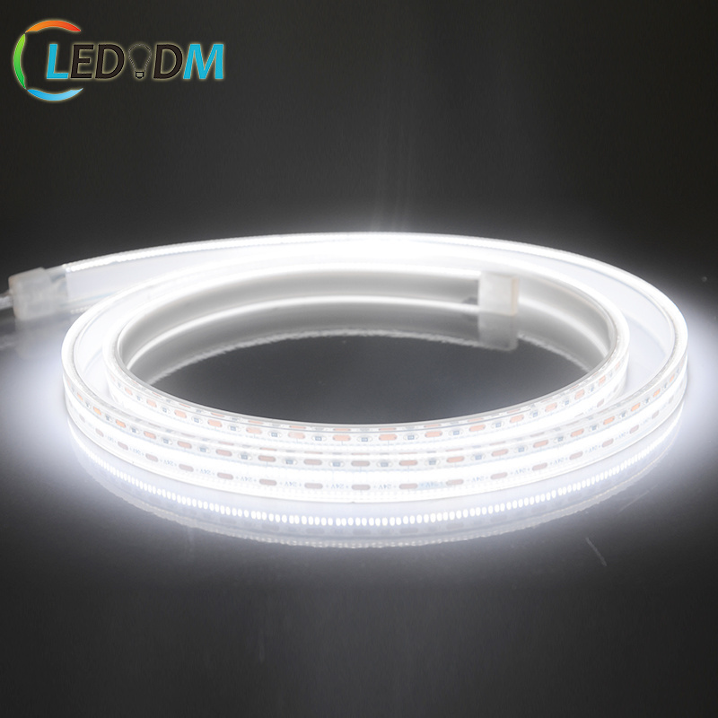 Ip68 IP66 IP65 waterproof  2110 led light strip 5m/roll light led strip for outdoor swimming pool fountain garden wall lighting