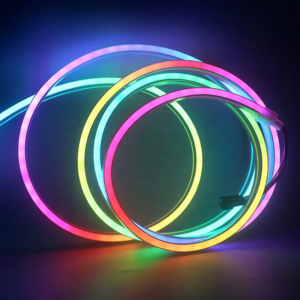 5M LED Flexible Strip Light DC 12V 24V SMD 5050 LED Neon Flex Tube Outdoor Waterproof Rope String Lamp