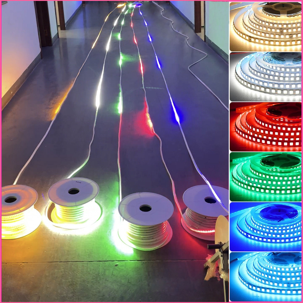 Highlight 24v Single Color 120led Addressable SMD 2835 Horse Running 10mm WS2811 IC Chasing Led Strip Light for House Decor