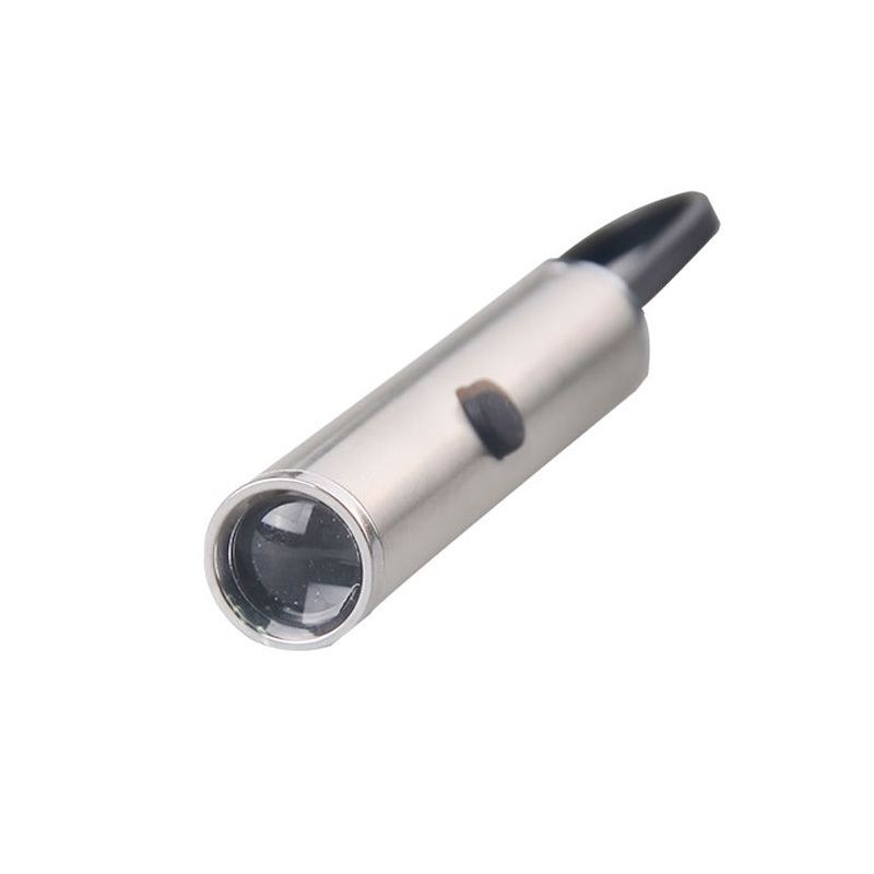 EDC Portable Waterproof LED Mini Flashlight Keyring LED Keychain Flashlight 365nm 395nm UV for Money Detector