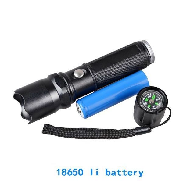 USB Rechargeable LED Torch Flashlight Black Light with UV Compass Function for Fluorescence Detection IP65 Battery Powered