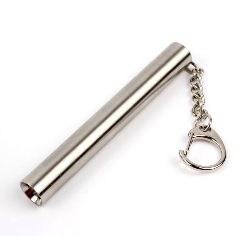 Mini Keychain Flashlight LED Light Stainless Steel UV 365nm 395nm Pocket Torch Keychain