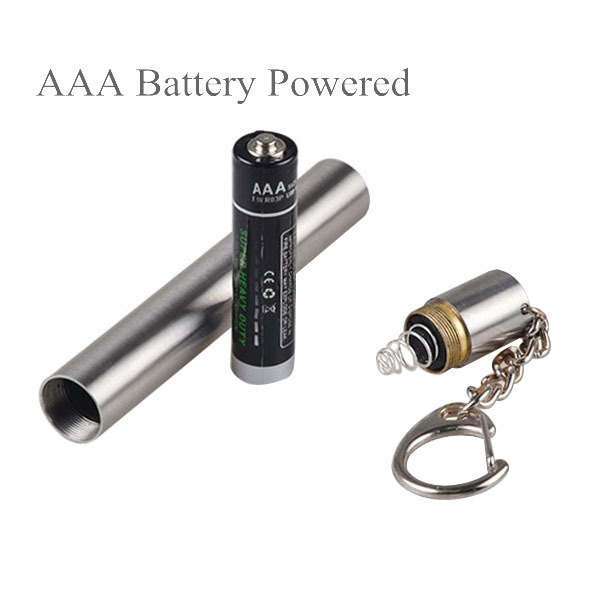 Mini Keychain Flashlight LED Light Stainless Steel UV 365nm 395nm Pocket Torch Keychain