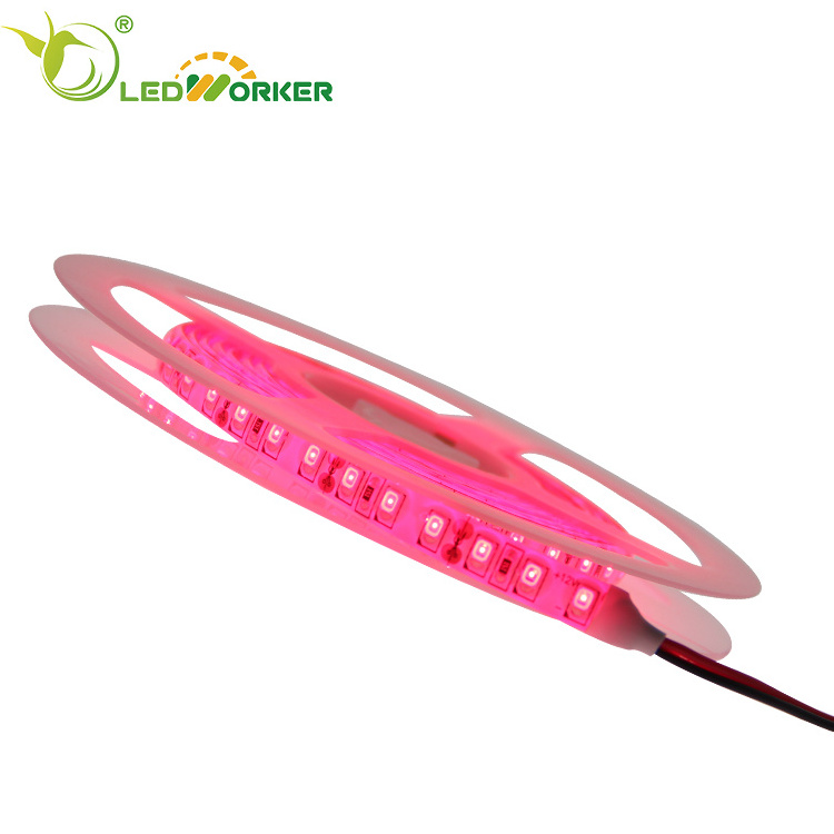 infrared led strip uv   850nm 810nm 660nm 365 nm