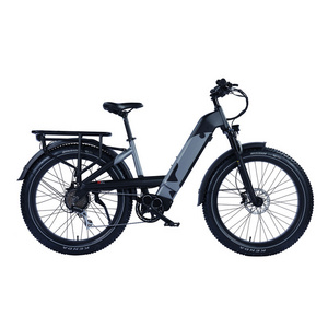 750W Fat Tire Step Through Electric Bike Premium Ebike from Trusted Manufacturer Beach Cruiser Bike with Strong Frame