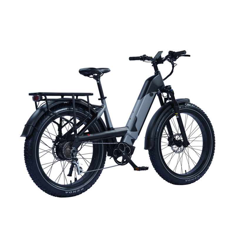 750W Fat Tire Step Through Electric Bike Premium Ebike from Trusted Manufacturer Beach Cruiser Bike with Strong Frame